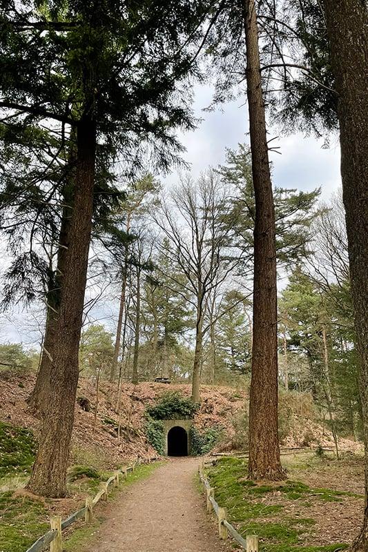 Snertwandeling (Zeist e.o.) * Dagwandeling gaat door. Op dit moment 17 deelnemers.