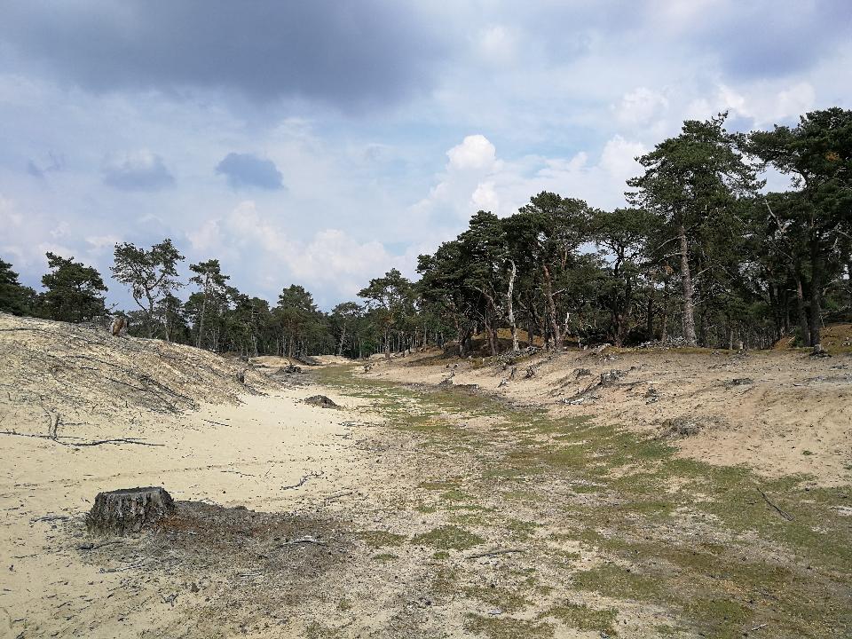 Snertwandeling (Zeist e.o.) * Dagwandeling gaat door. Op dit moment 17 deelnemers.
