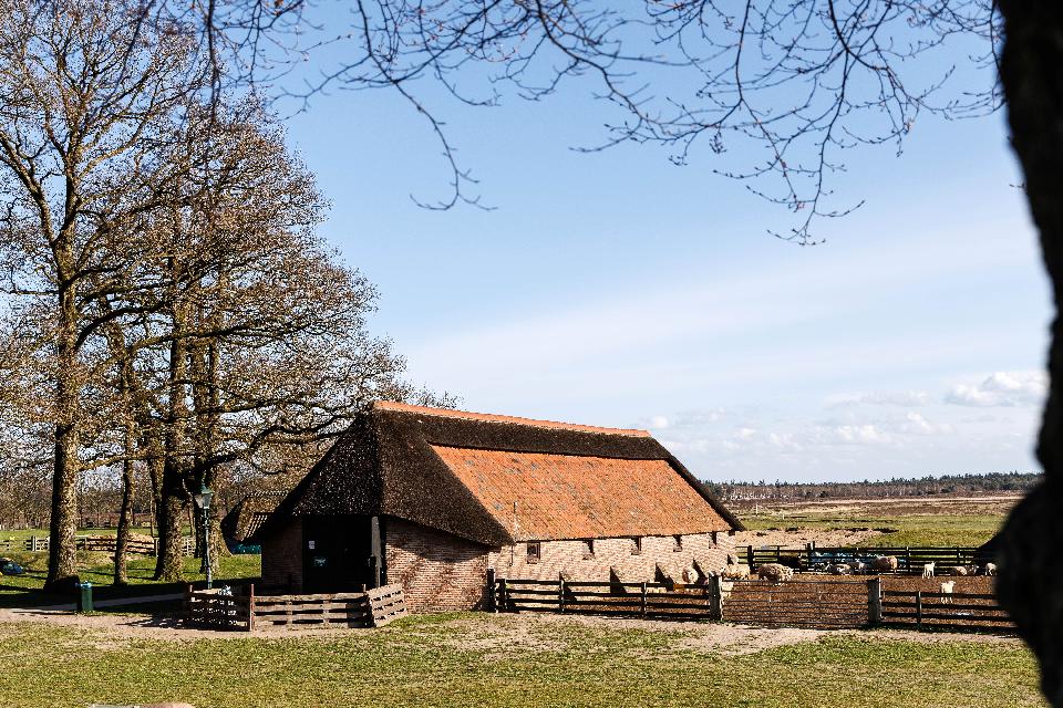 Oud en Nieuwtocht (Ede e.o.) **/*** Reis gaat door. Op dit moment 17 deelnemers.